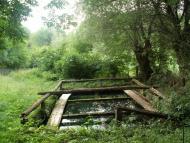 Крикливець з panoramio.com