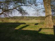 Зноб-Трубчевська - Останні фото