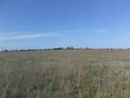 Новотимофіївка з panoramio.com