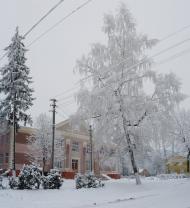 Рідківці з panoramio.com