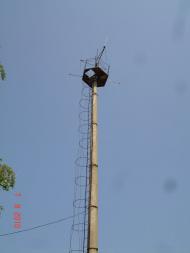 Динівці з panoramio.com