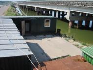 Алтестове з panoramio.com