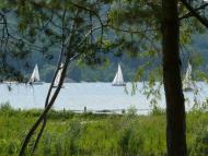 Келеберда - Останні фото