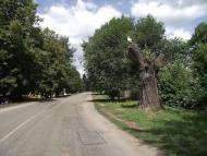 Мирівка з panoramio.com