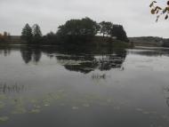 Решуцьк з panoramio.com