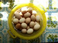 Іванківці - Останні фото