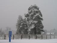 Дольськ з panoramio.com