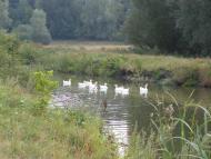 Лузанівка з panoramio.com