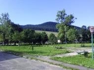 Ріп'яна з panoramio.com