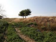 Велика Знам'янка з panoramio.com