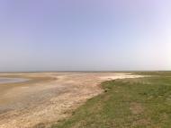 Салькове з panoramio.com