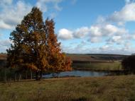 Крикливець з panoramio.com