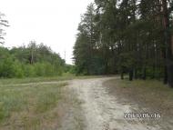 Скрипаї - Останні фото