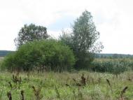 Демидів з panoramio.com