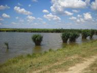 Спасівка - Останні фото