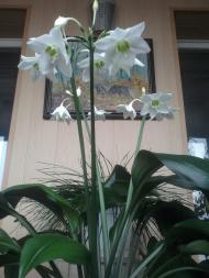 Глухе з panoramio.com