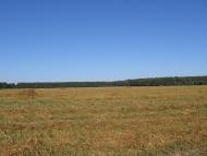 Ракужа з panoramio.com