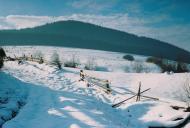 Ріп'яна з panoramio.com