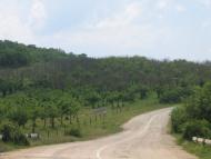 Прохладне з panoramio.com