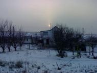 Каштанове з panoramio.com