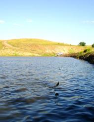 Вишневе з panoramio.com