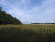 Ракужа з panoramio.com