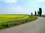Куликівське з panoramio.com - Куликовское