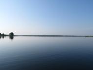 Дубечне з panoramio.com