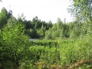 Ракужа з panoramio.com