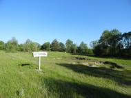 Костюхнівка - Останні фото