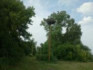 Феофілівка - Останні фото