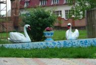 Рідківці з panoramio.com