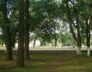 Луч з panoramio.com