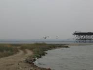 Сніжне з panoramio.com