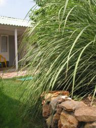 Молочне з panoramio.com