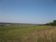 Новомайське з panoramio.com