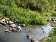 Семенівка з panoramio.com