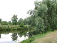 Сушки з panoramio.com