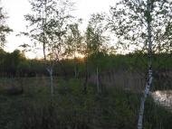 Ракужа з panoramio.com