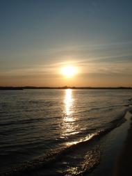 Вишеньки з panoramio.com