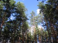 Ракужа з panoramio.com