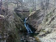 Ластівка з panoramio.com