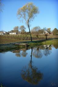 Рідківці з panoramio.com