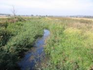 Соснівка з panoramio.com