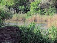 Городуватка з panoramio.com