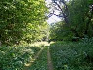 Бране Поле з panoramio.com