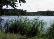 Городок з panoramio.com