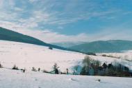 Ріп'яна з panoramio.com