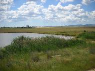 Спасівка - Останні фото