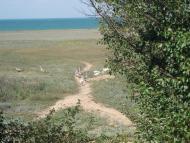 Аврора з panoramio.com